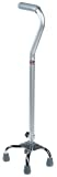 CANE QD SM OFF SLVR