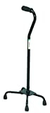 CANE QD SM OFF BK
