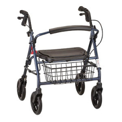 MINI MACK ROLLING WALKER BLUE 4214BL