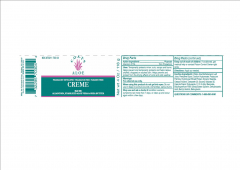 COATS ALOE CREME 16OZ