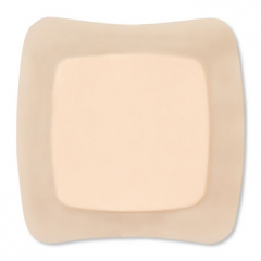 CONV 421563 FOAM LITE ADH 2.1"X4.7" 10CT