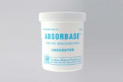 ABSORBASE           CMP   16OZ